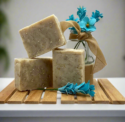 Oatmeal Travel Bar